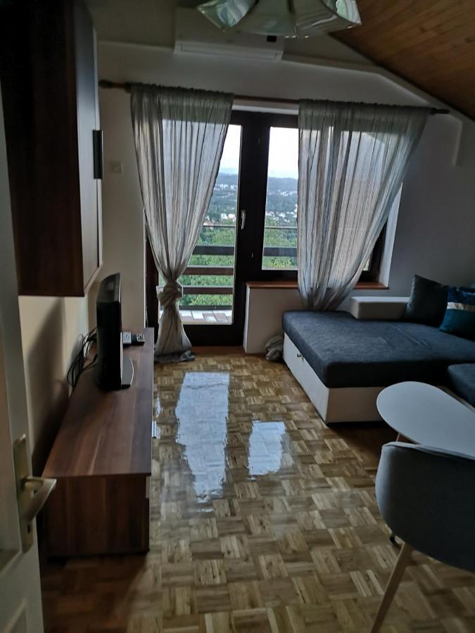 Apartment Gina Opatija Luaran gambar